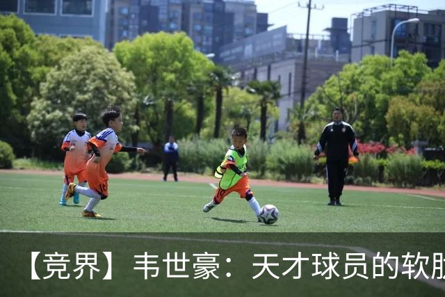 【竞界】韦世豪：天才球员的软肋 洪七公效应的外溢